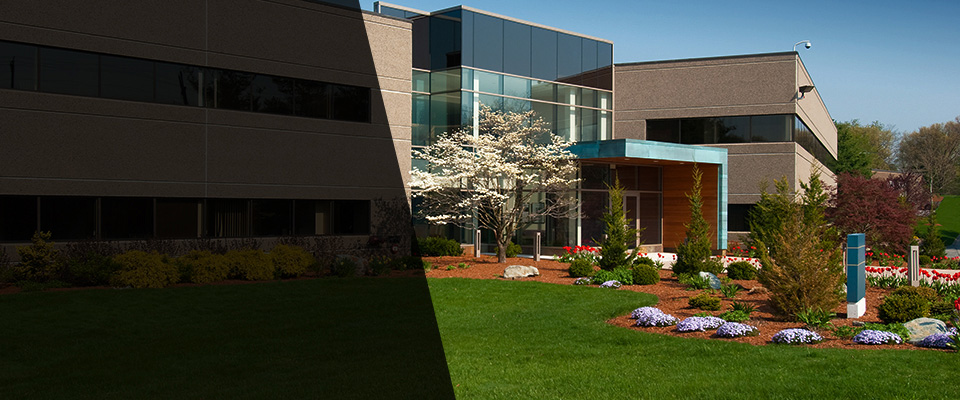 White Pine Landscapers
